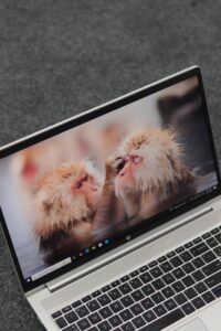 HP Probook 650 G8 Specification/Price in Nigeria
