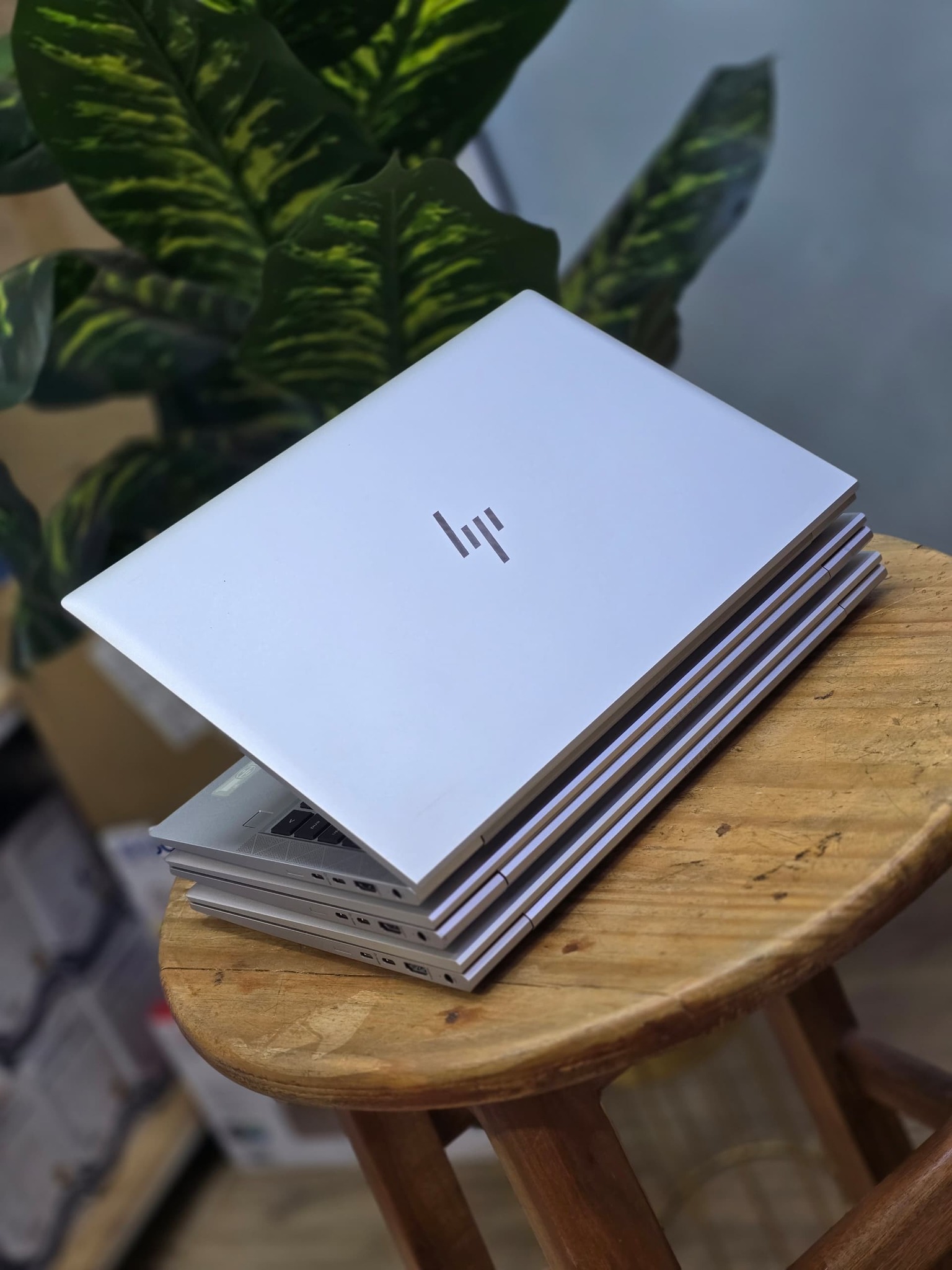 593235012_122177683850546489_5030175578894930849_n