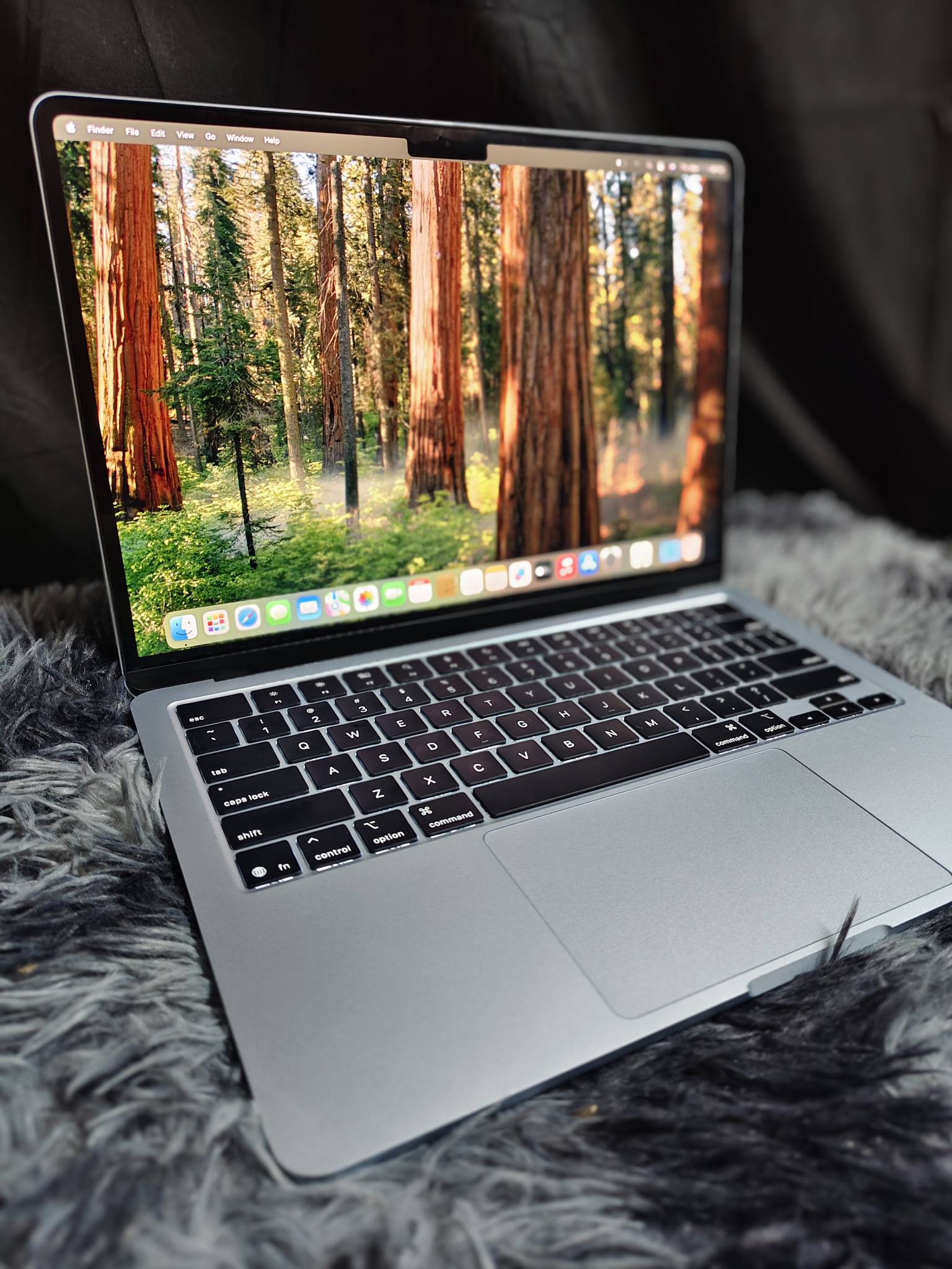 Apple MacBook Air M4