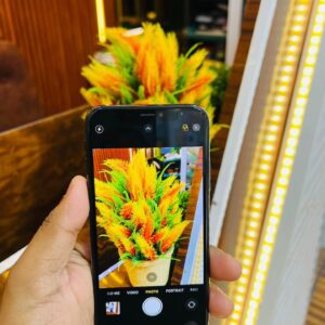 Apple iPhone XS 